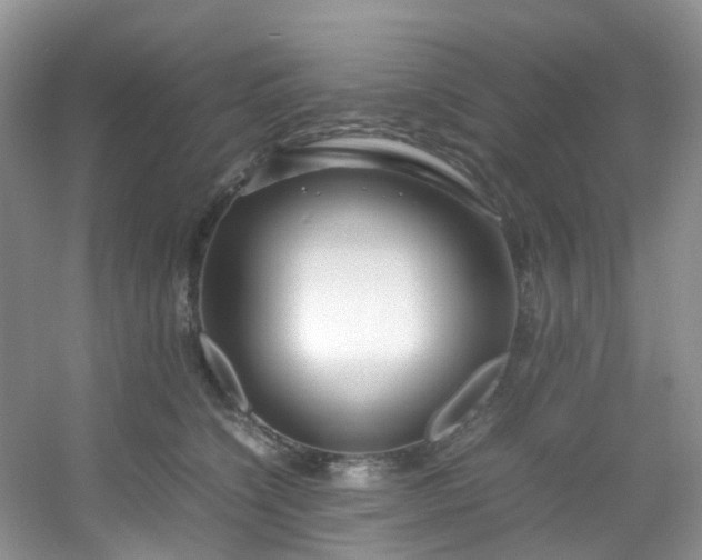 X0000054470564200508122006