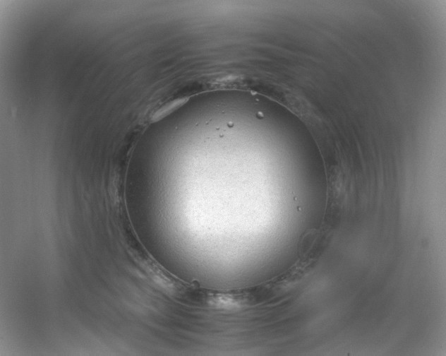 X0000054470565200508122006