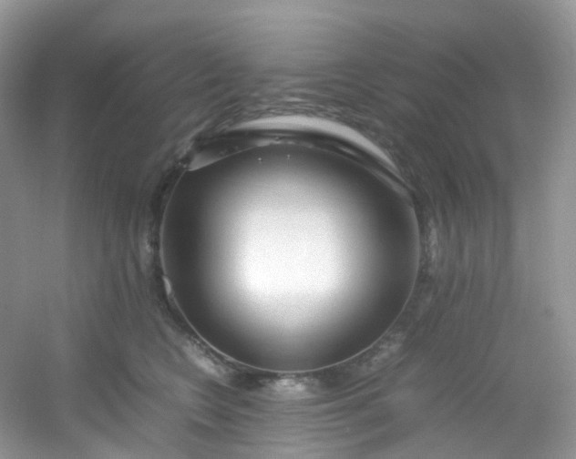 X0000054470566200508122006