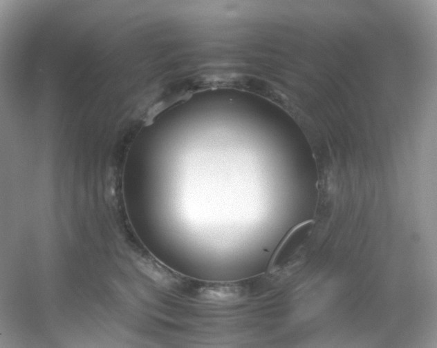 X0000054470567200508122006