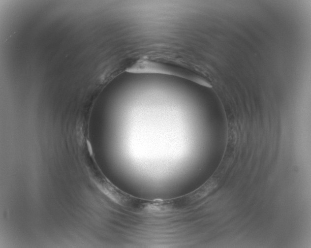 X0000054470568200508122006