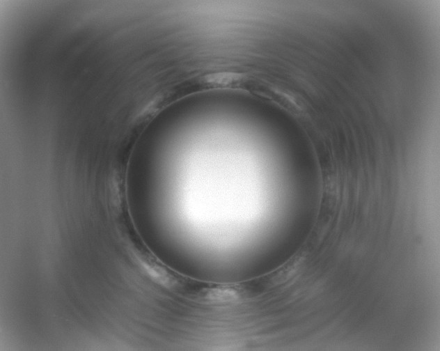 X0000054470572200508122006