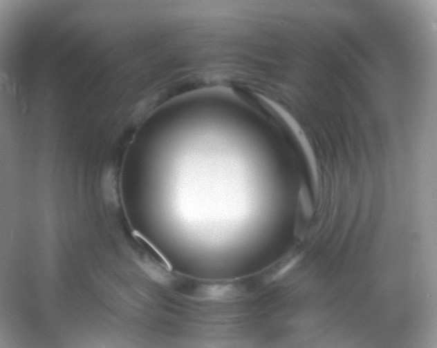 X0000054470575200508122006