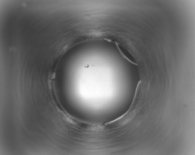 X0000054470576200508122006