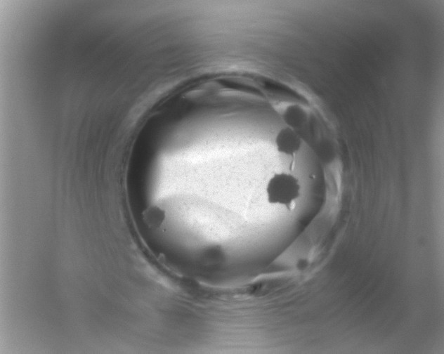 X0000054470577200508122006