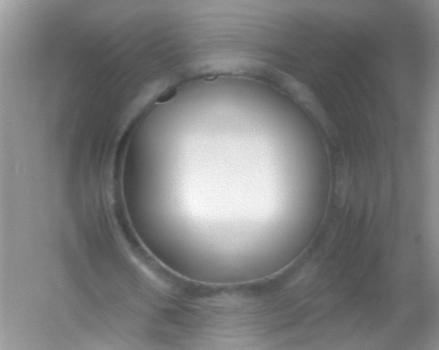 X0000054470578200508122006