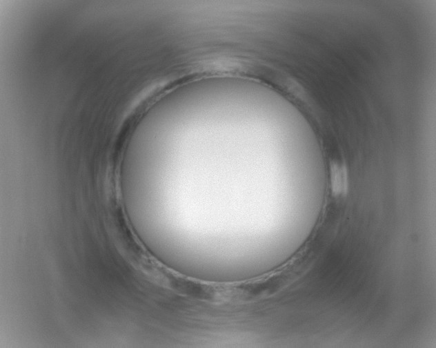 X0000054470579200508122006