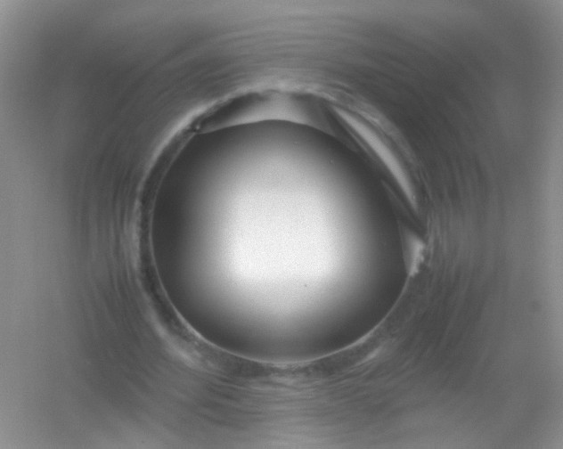 X0000054470580200508122006