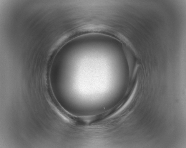 X0000054470581200508122006