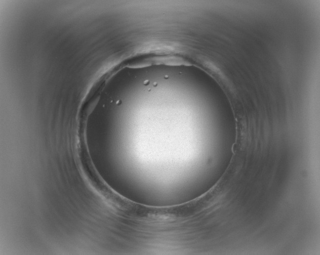 X0000054470582200508122006