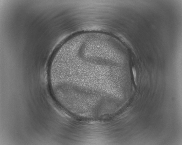 X0000054470584200508122006