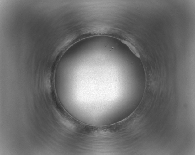 X0000054470586200508122006