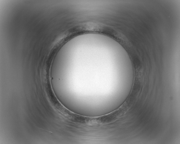 X0000054470587200508122006