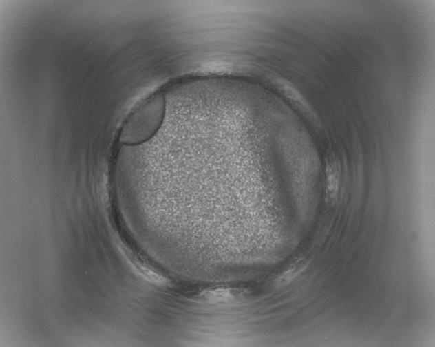 X0000054470588200508122005