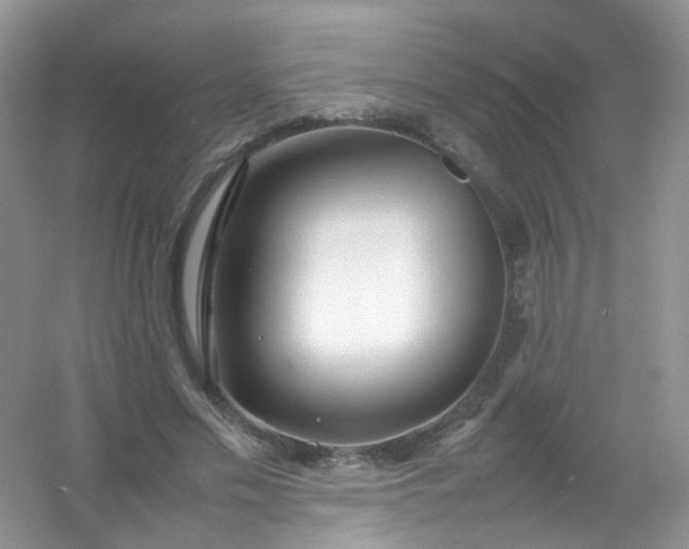 X0000054470589200508122005