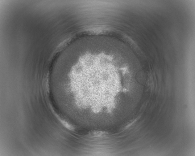 X0000054470590200508122005