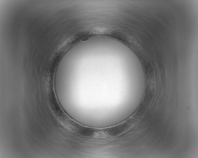 X0000054470591200508122005