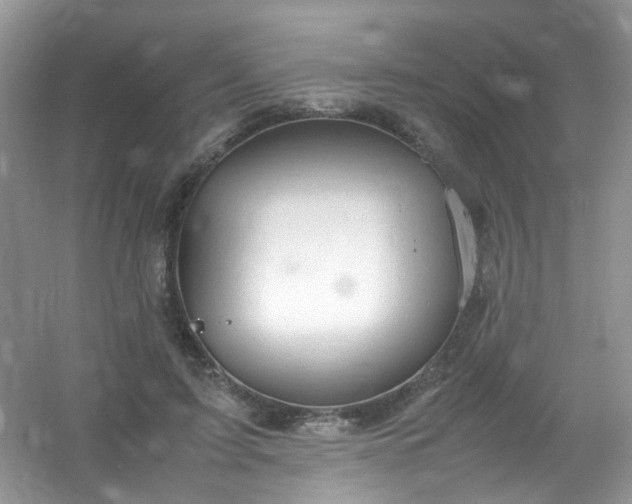 X0000054470595200508122005