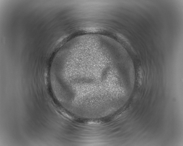 X0000054470596200508122005