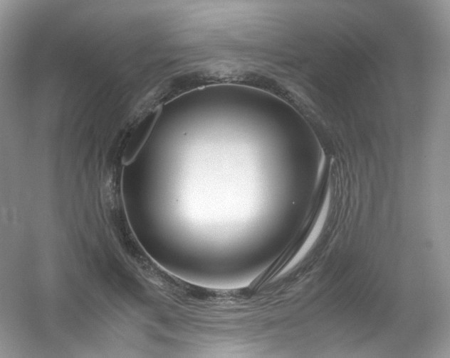 X0000054470597200508122005