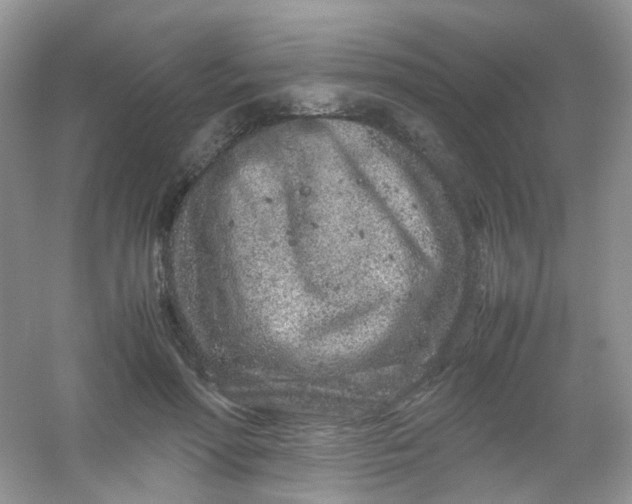 X0000054470598200508122005