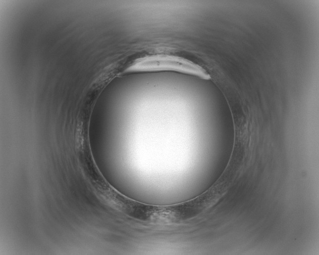 X0000054470599200508122005