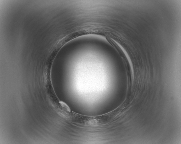 X0000054470600200508122005