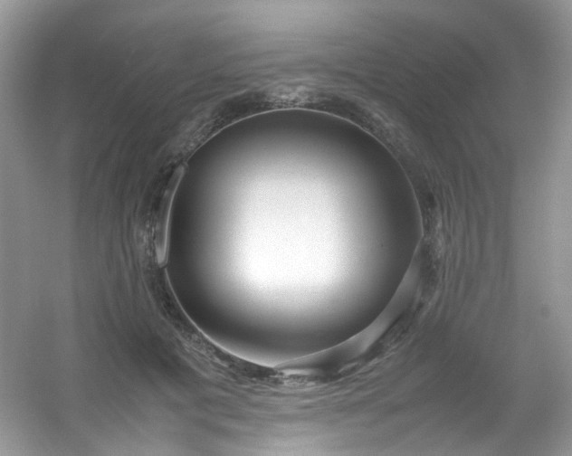 X0000054470601200508122005