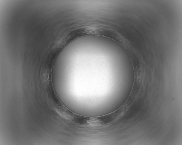 X0000054470603200508122005