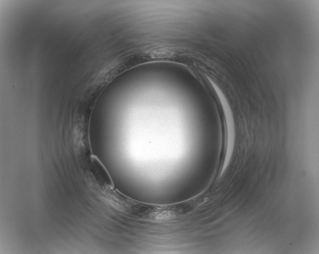 X0000054470604200508122005