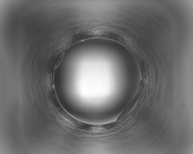 X0000054470605200508122005