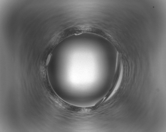 X0000054470609200508122005