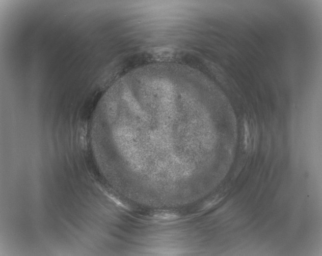 X0000054470610200508122005