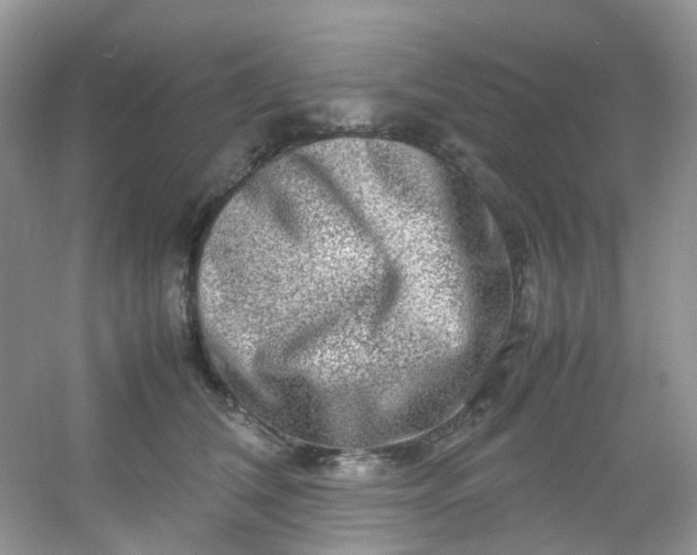 X0000054470612200508122005