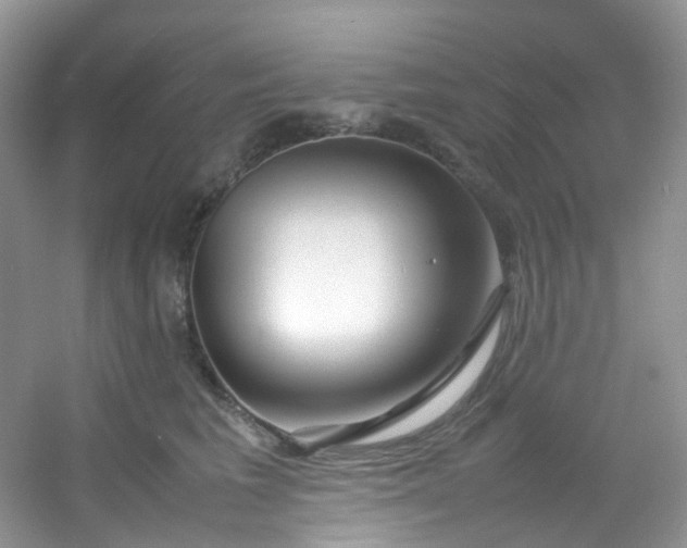 X0000054470613200508122005