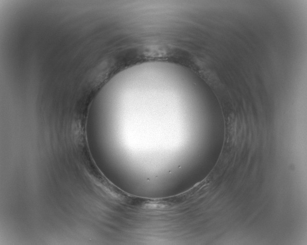 X0000054470614200508122005