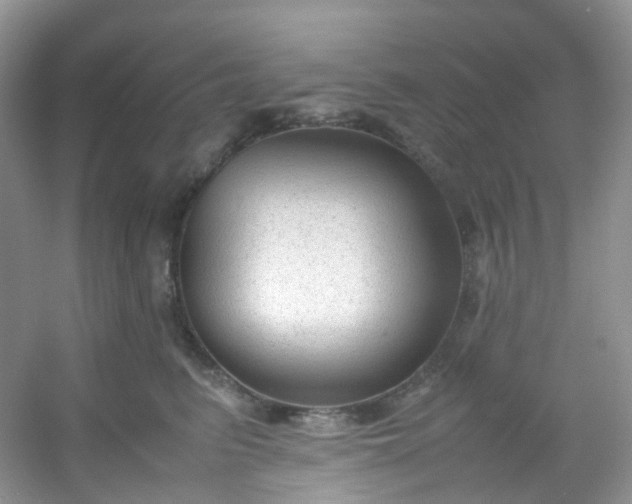 X0000054470615200508122005