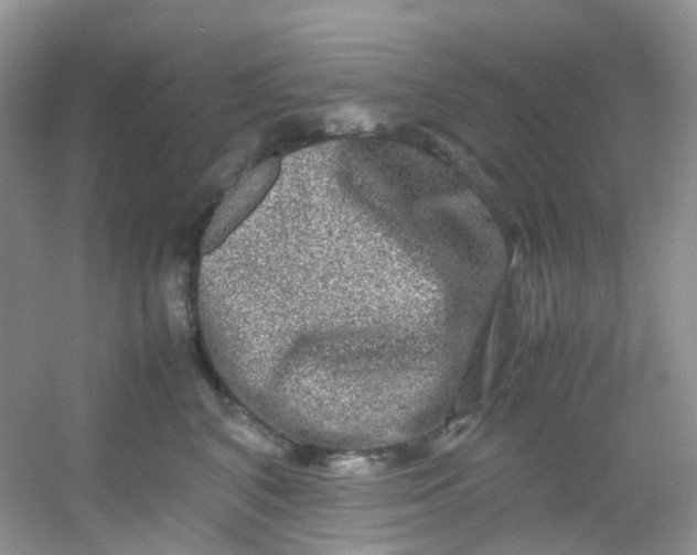 X0000054470616200508122005