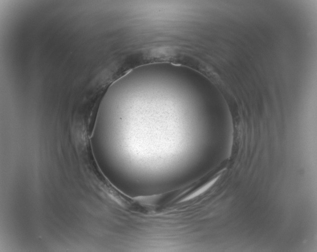 X0000054470617200508122005