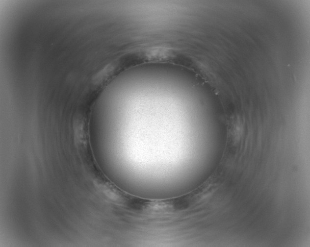 X0000054470619200508122005