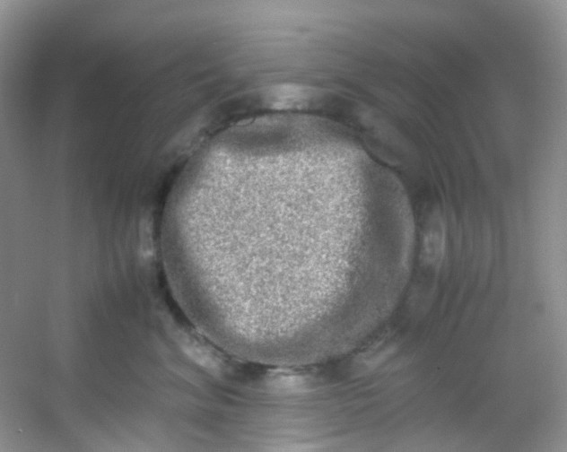 X0000054470620200508122005