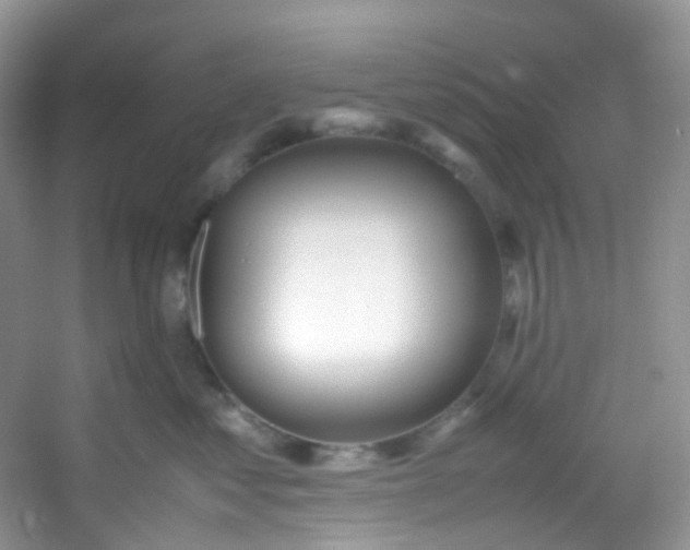 X0000054470621200508122005