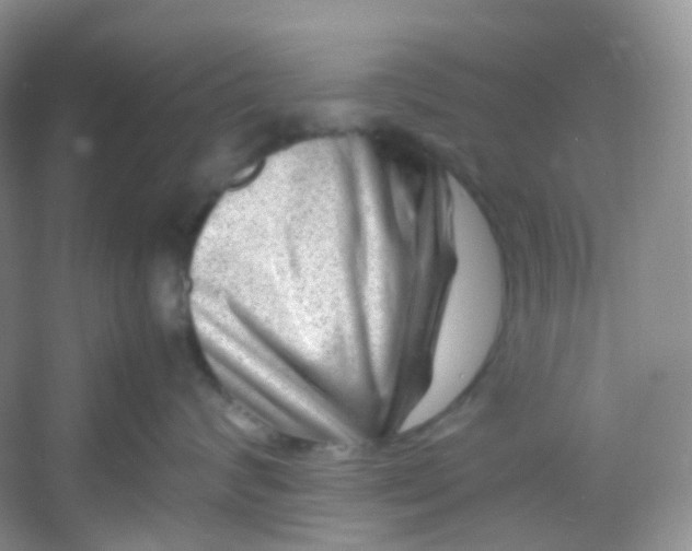 X0000054470624200508122005