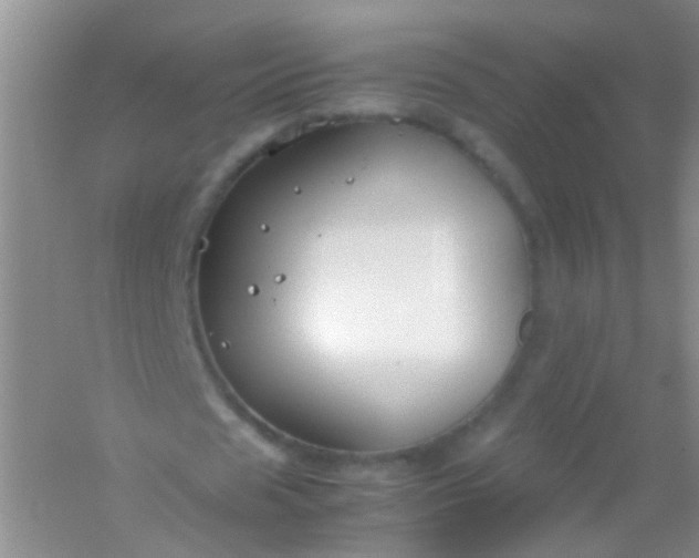 X0000054470625200508122004