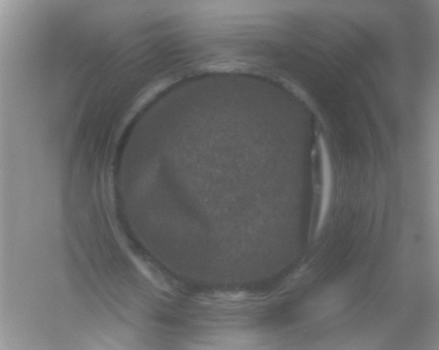 X0000054470626200508122004