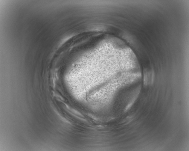 X0000054470627200508122004