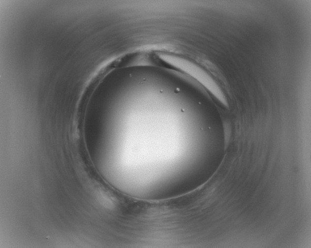 X0000054470628200508122004