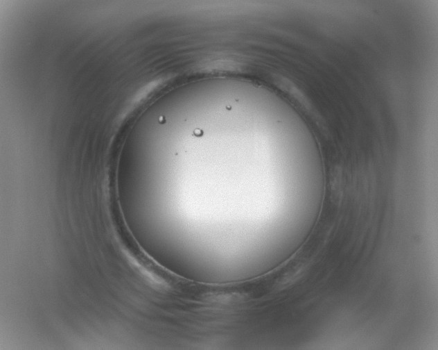 X0000054470629200508122004