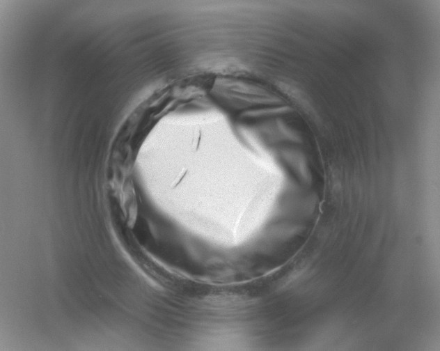 X0000054470630200508122004