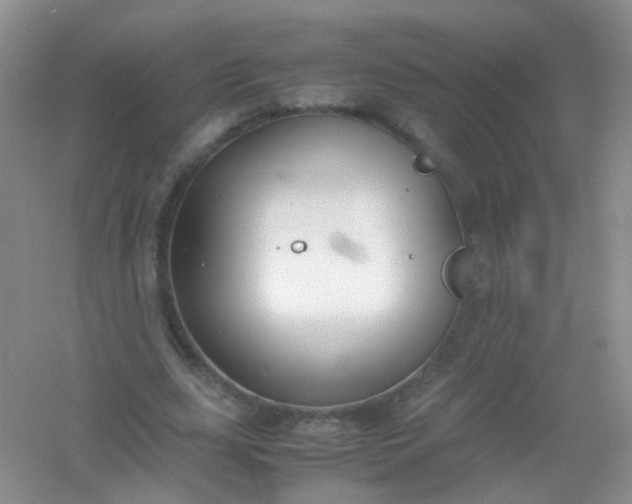 X0000054470631200508122004